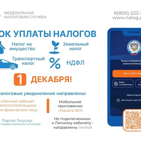 1 декабря. Срок уплаты налогов