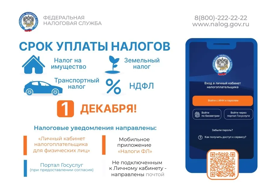 1 декабря. Срок уплаты налогов
