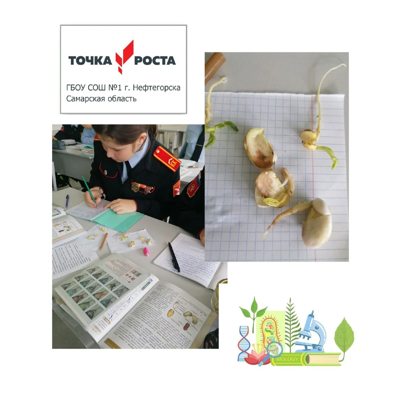 Новый учебный год - новые открытия