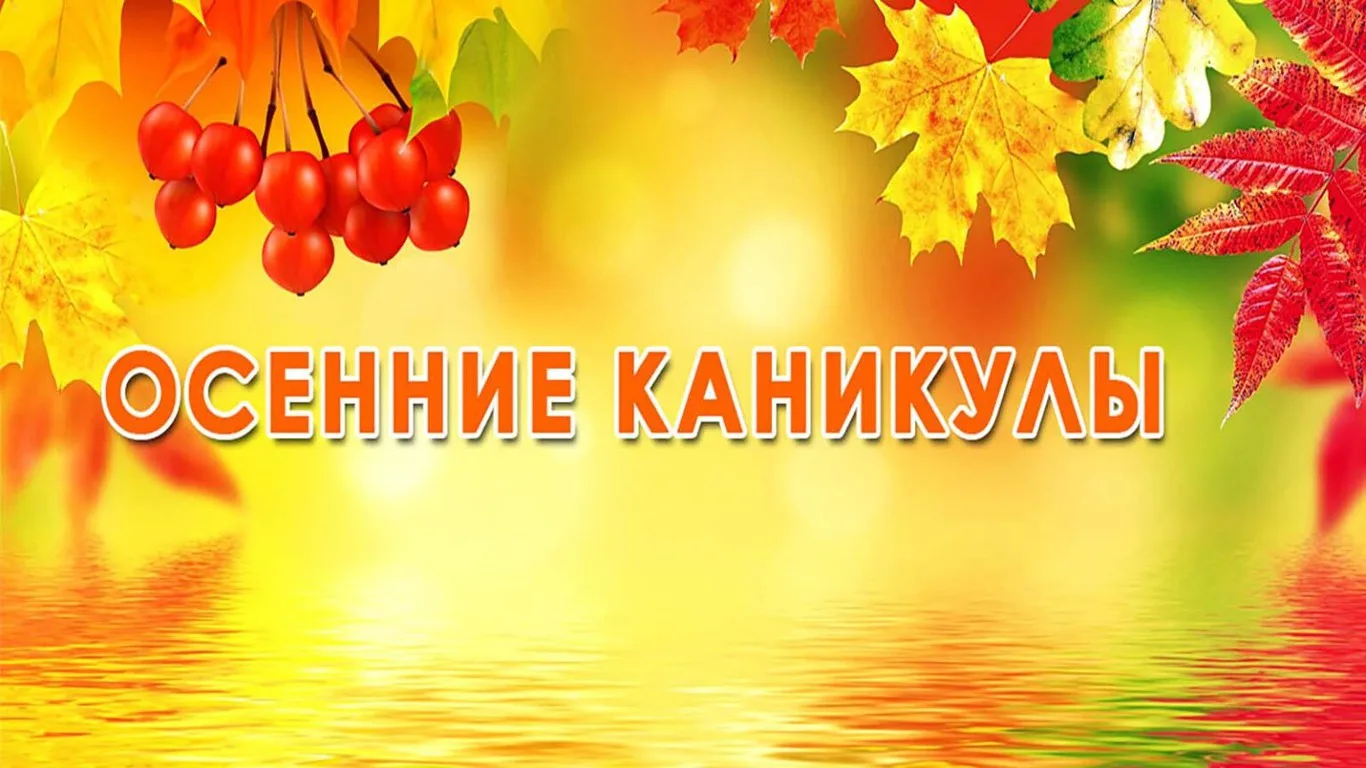 Профильные смены