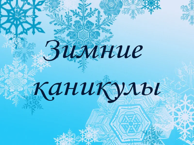 Профильные смены. Зимние каникулы